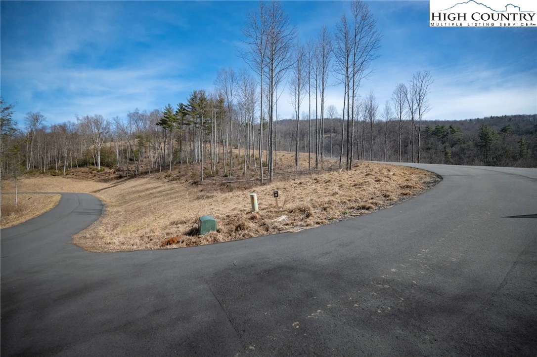 Image number 10 for the current listing