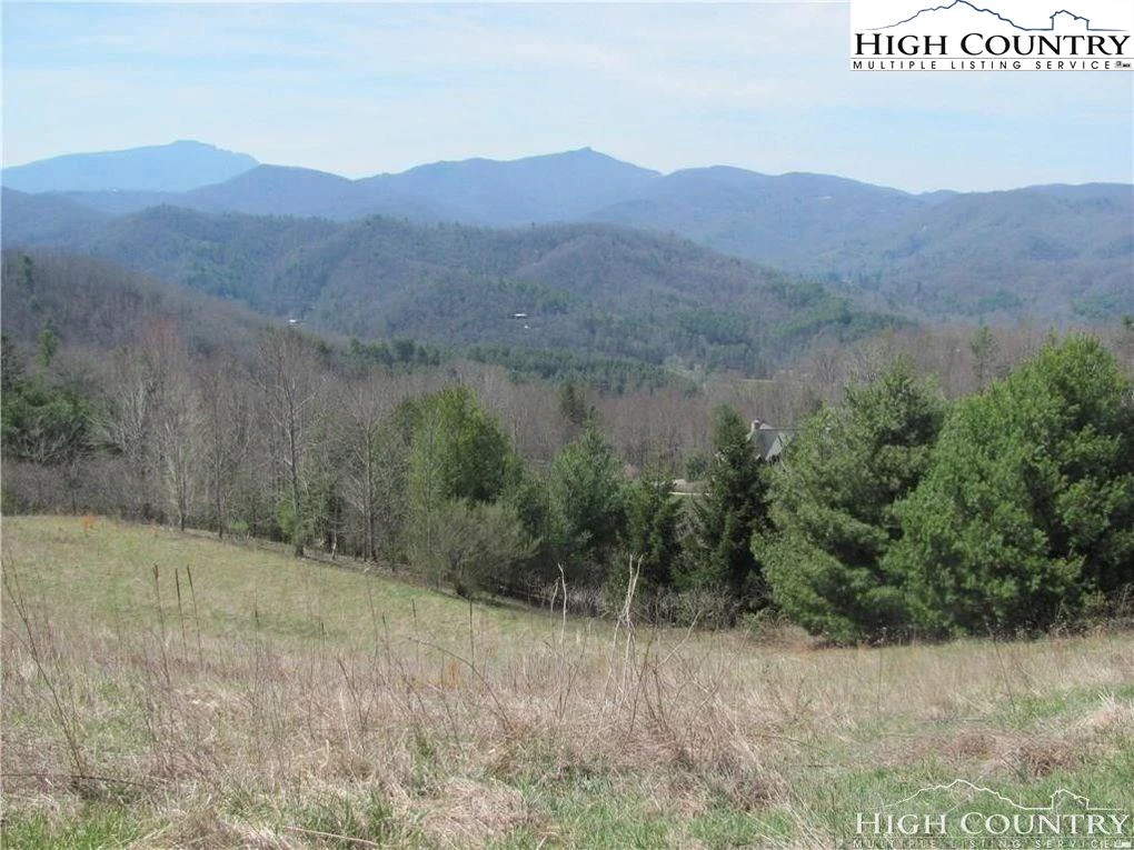 Image number 1 for the current listing