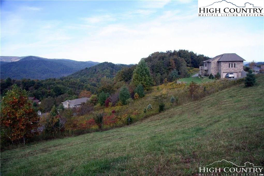Image number 5 for the current listing