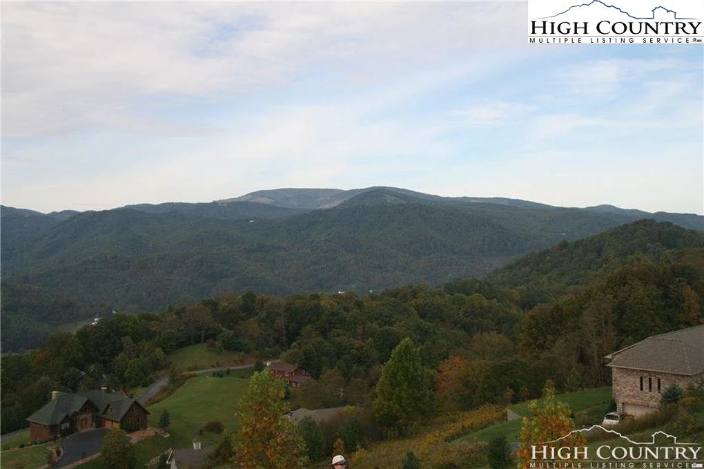 Image number 7 for the current listing