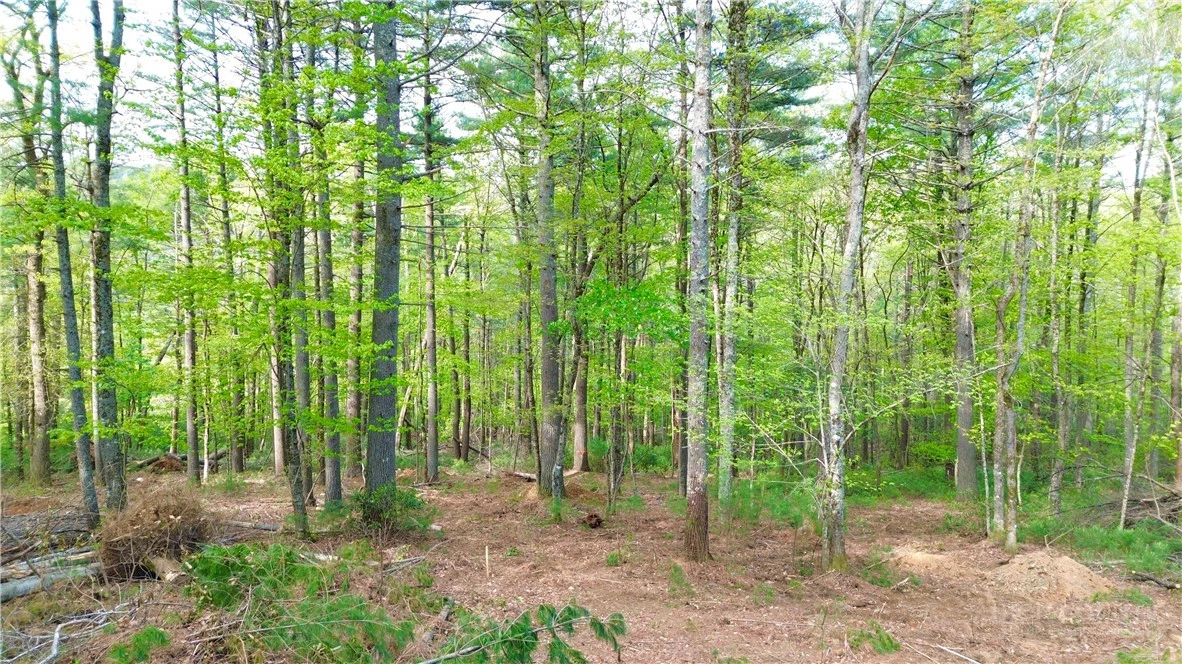 Image number 1 for the current listing