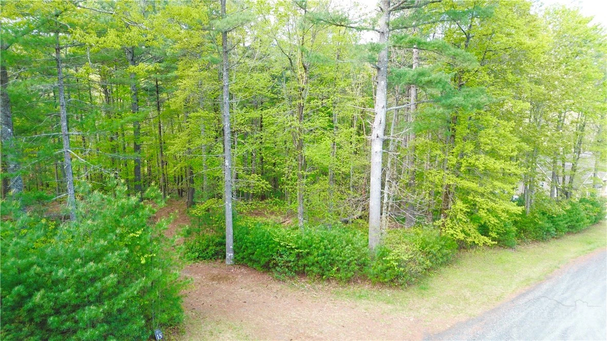Image number 3 for the current listing