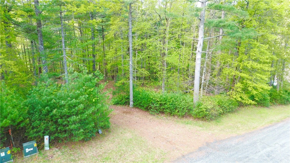 Image number 4 for the current listing