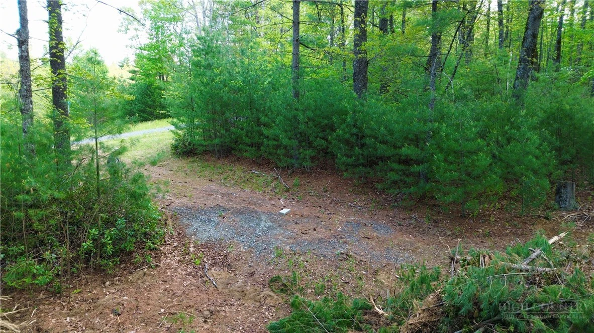 Image number 5 for the current listing
