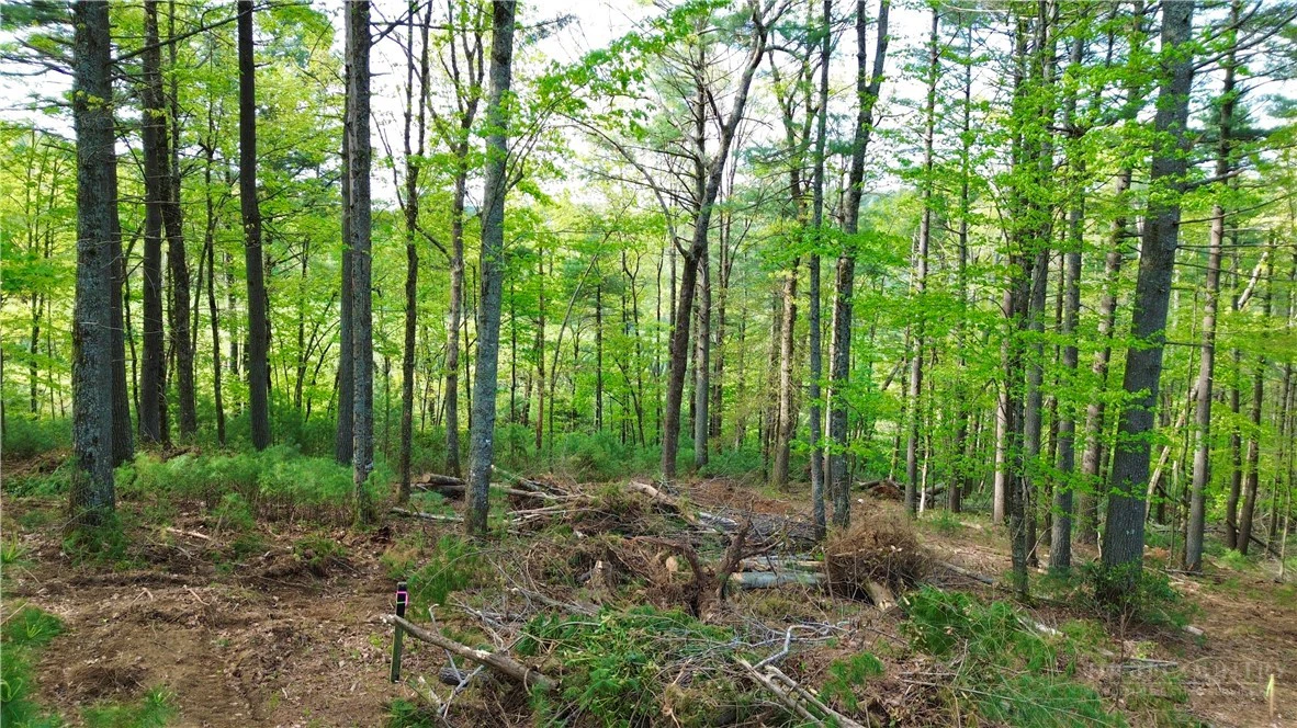 Image number 6 for the current listing