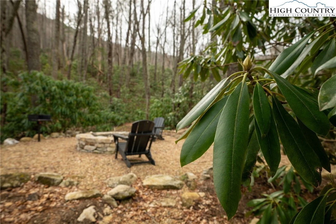 Image number 5 for the current listing