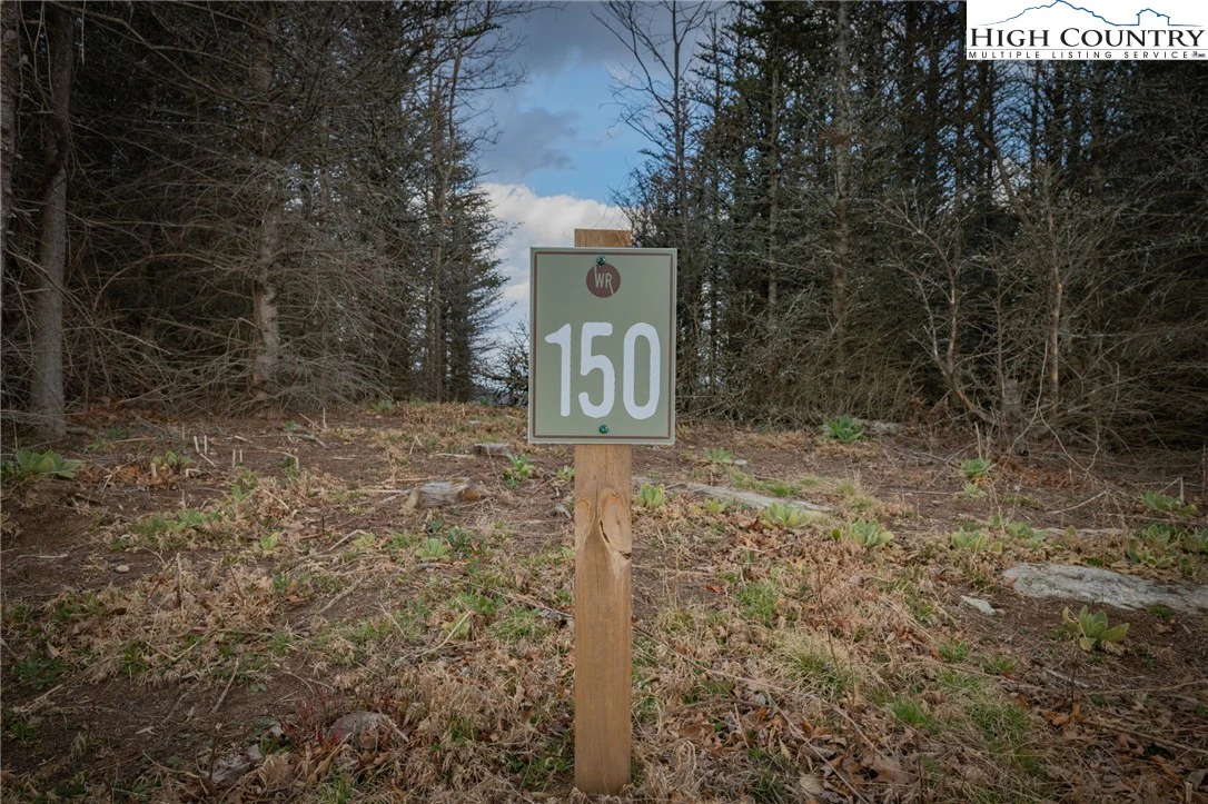 Image number 1 for the current listing