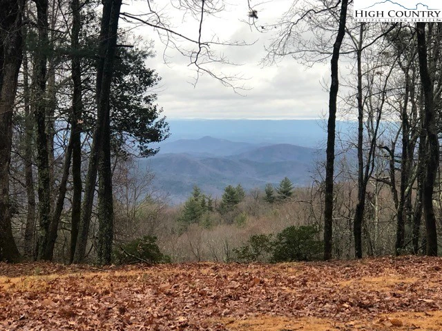 Image number 1 for the current listing