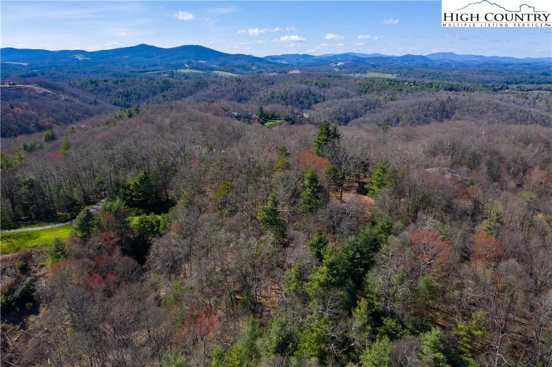 Image number 3 for the current listing