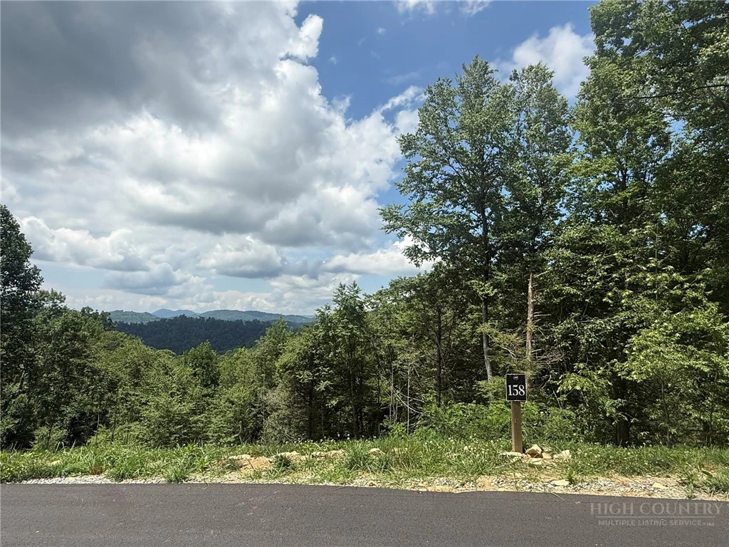 Image number 4 for the current listing
