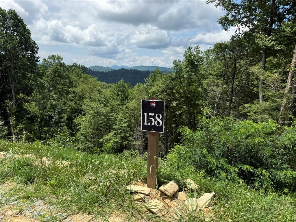 Image number 1 for the current listing