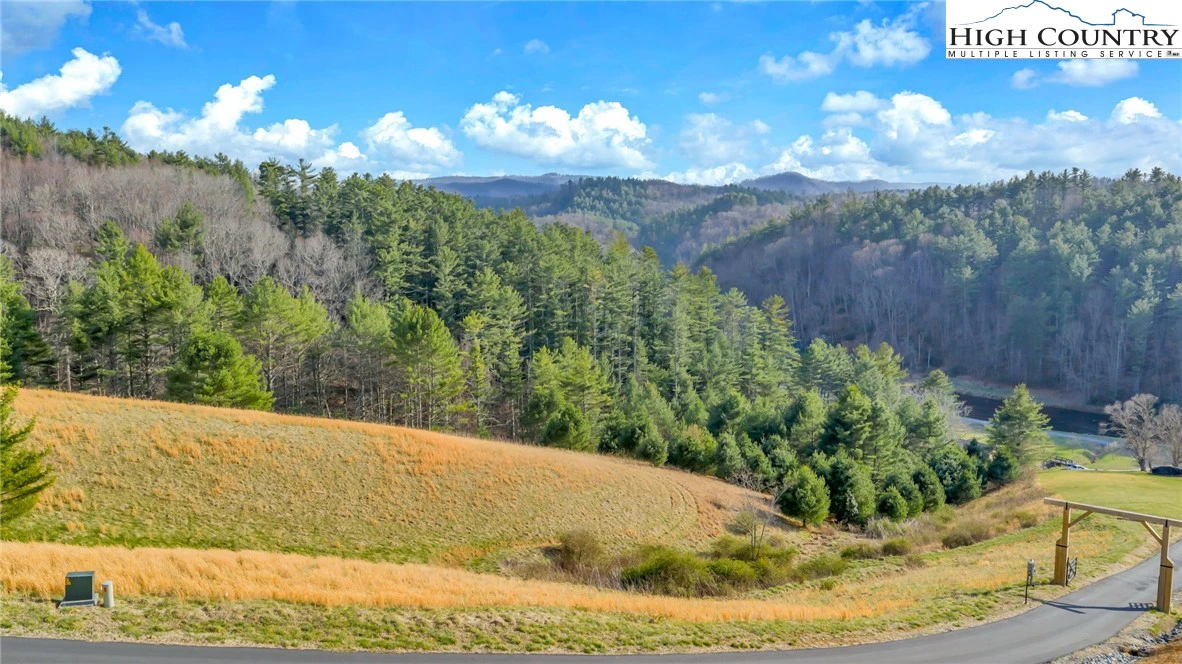 Image number 2 for the current listing