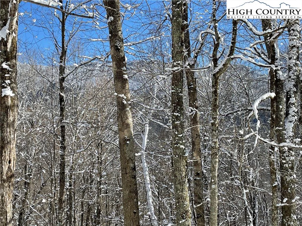 Image number 1 for the current listing