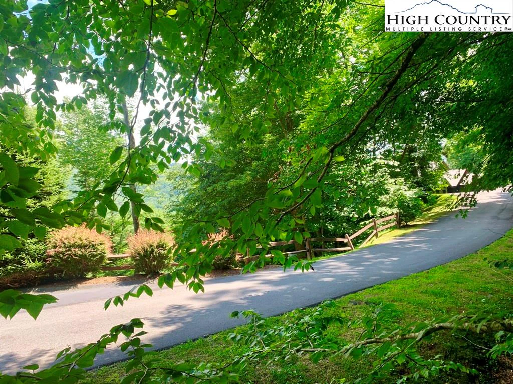 Image number 3 for the current listing