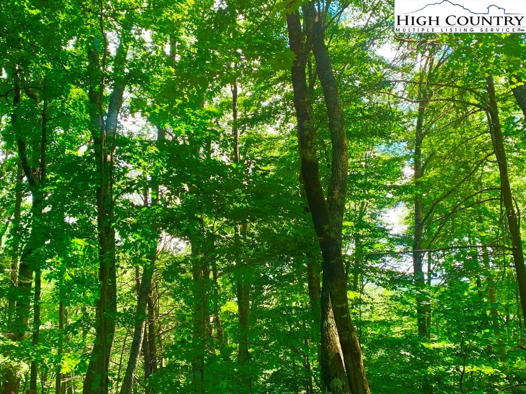 Image number 10 for the current listing
