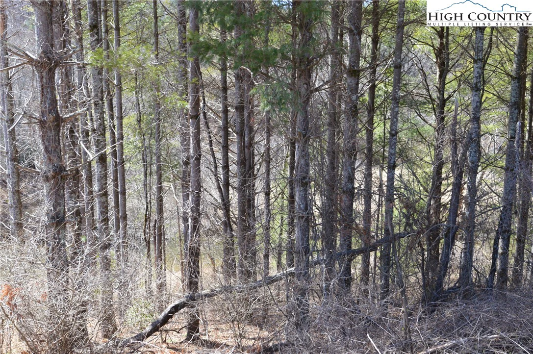 Image number 23 for the current listing