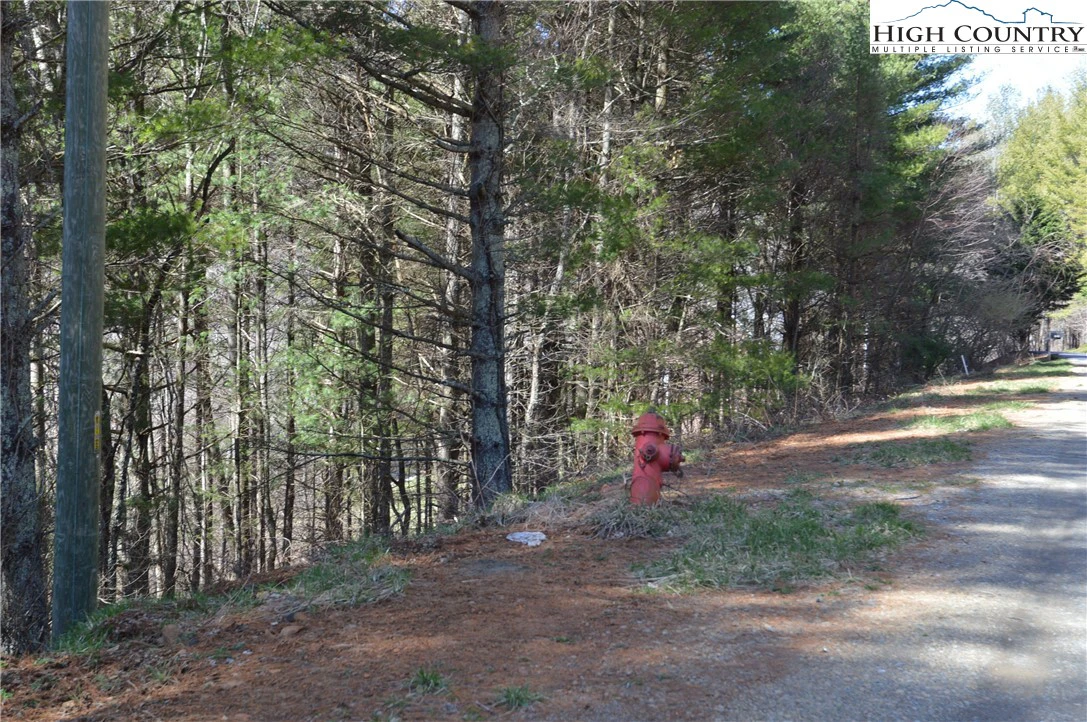 Image number 16 for the current listing