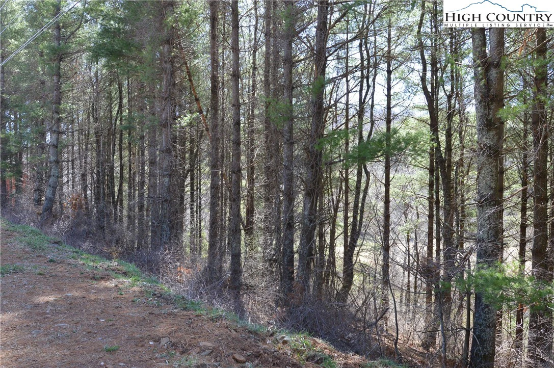 Image number 12 for the current listing