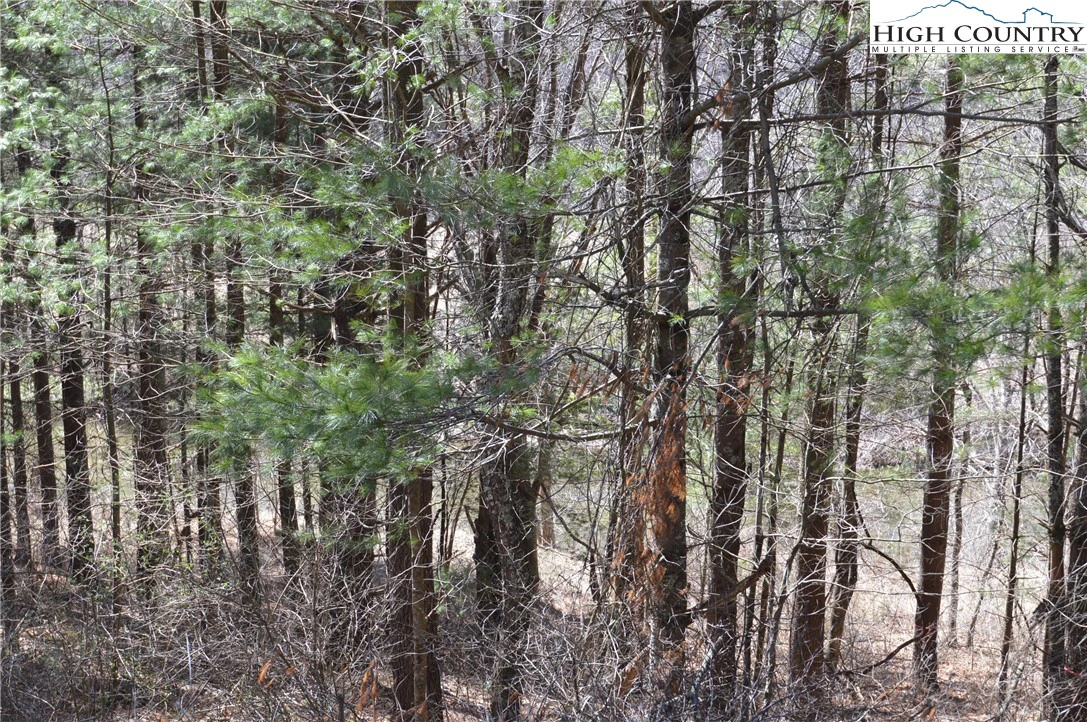 Image number 11 for the current listing
