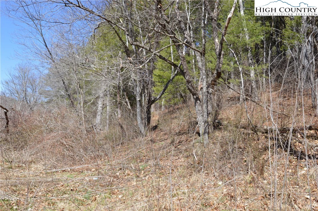 Image number 9 for the current listing