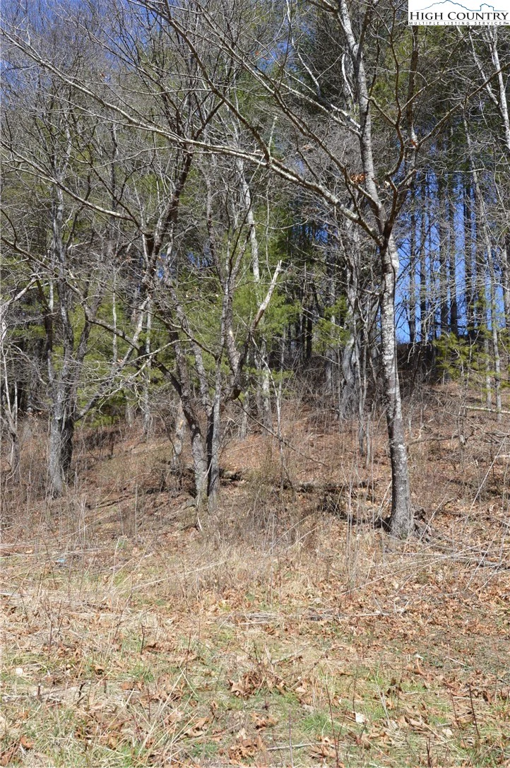 Image number 6 for the current listing