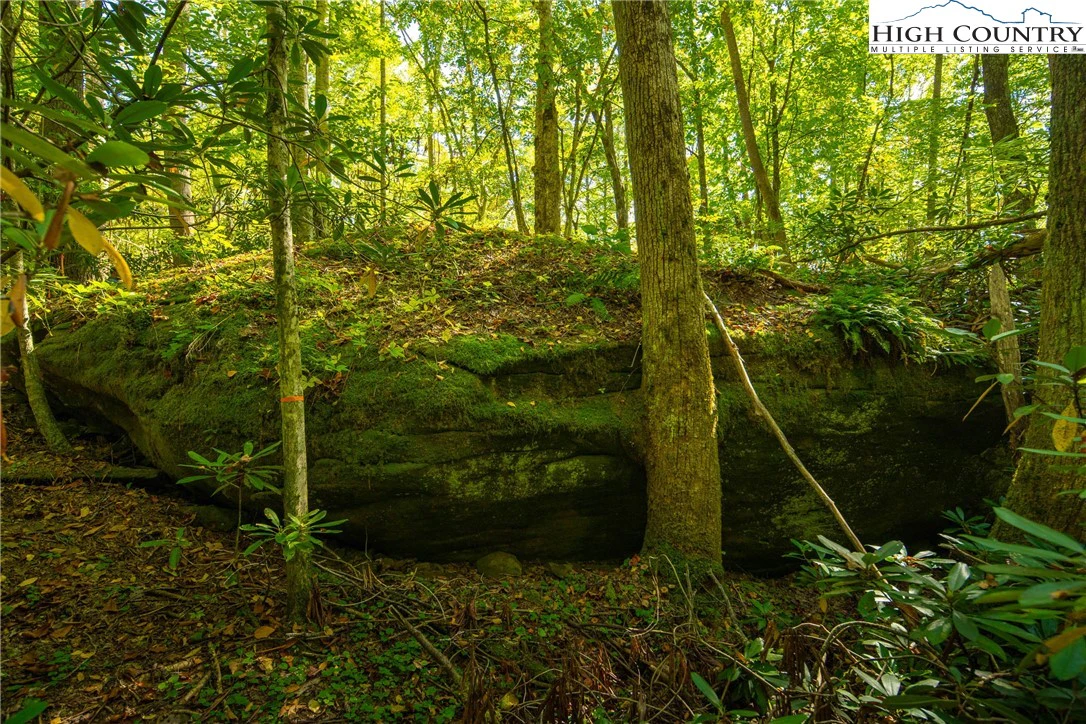 Image number 1 for the current listing