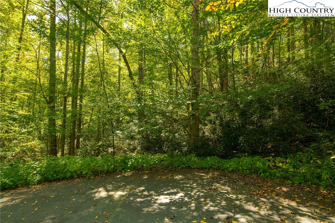 Image number 9 for the current listing