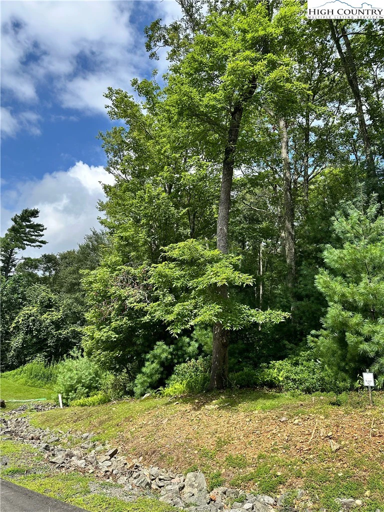 Image number 1 for the current listing