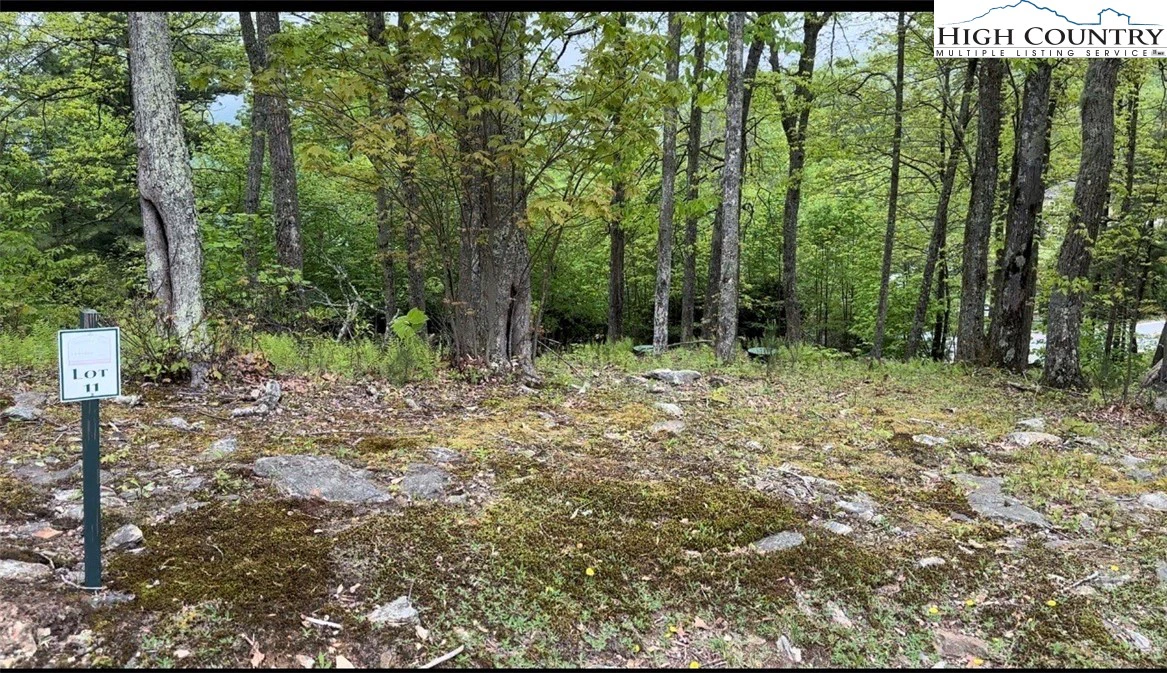Image number 7 for the current listing