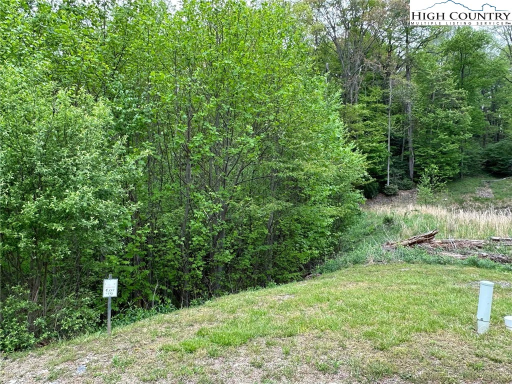Image number 8 for the current listing