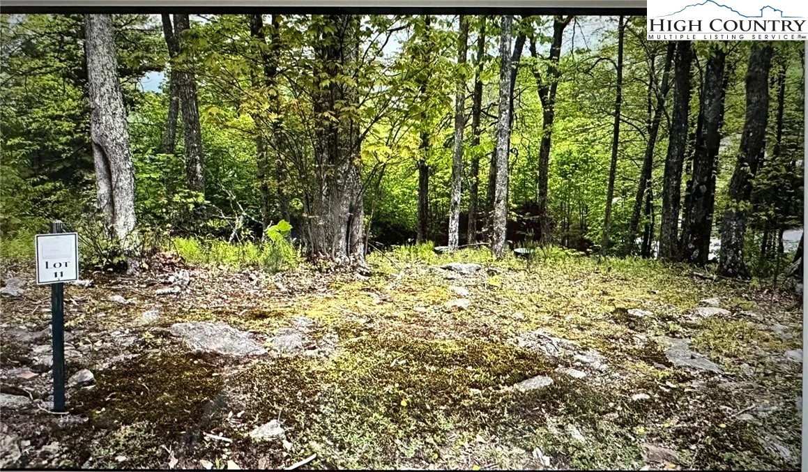 Image number 9 for the current listing