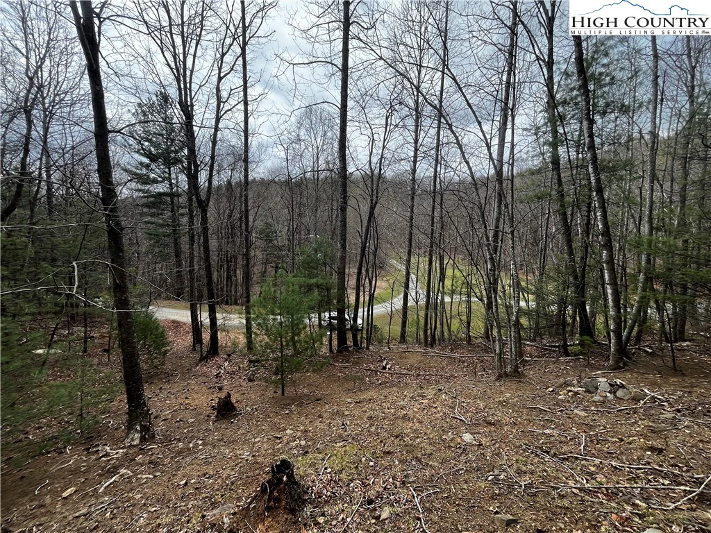Image number 1 for the current listing