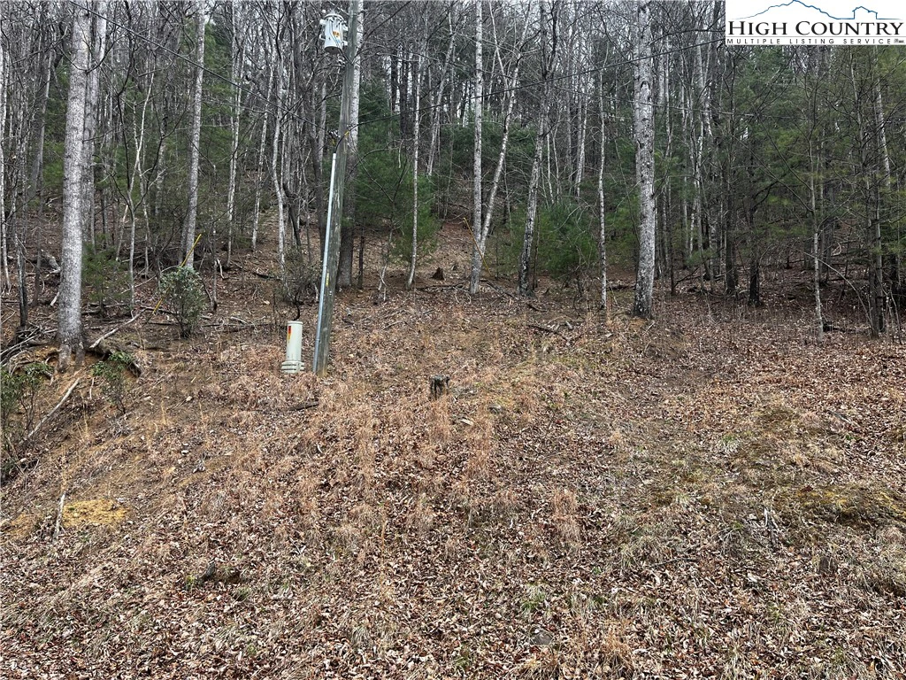 Image number 3 for the current listing