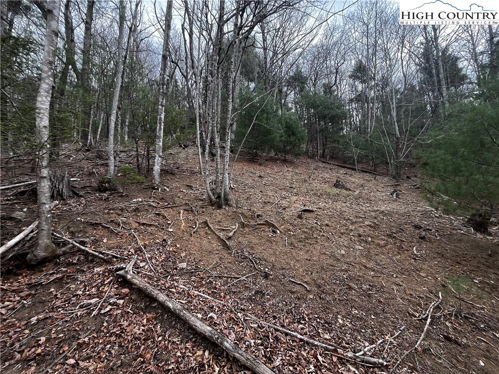 Image number 4 for the current listing