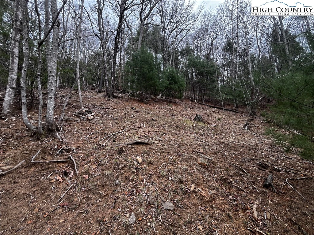 Image number 6 for the current listing