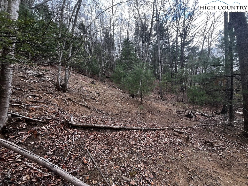 Image number 8 for the current listing
