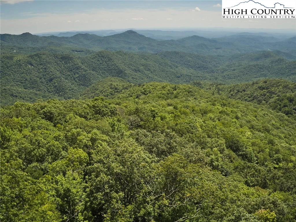 Image number 1 for the current listing