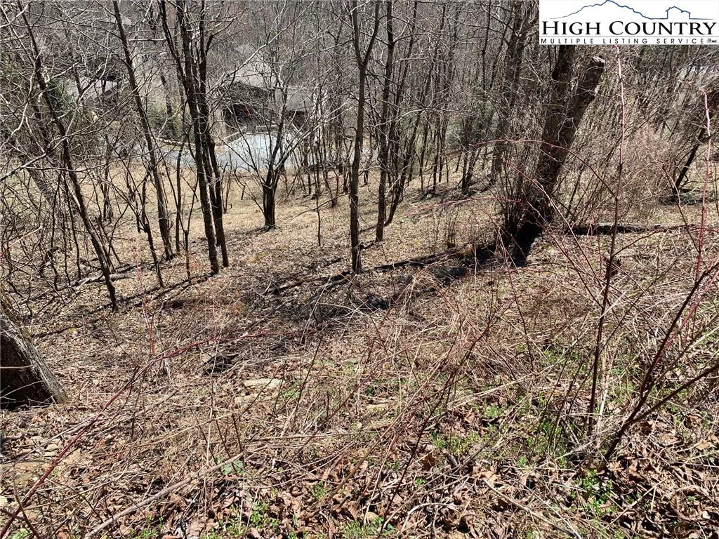 Image number 13 for the current listing