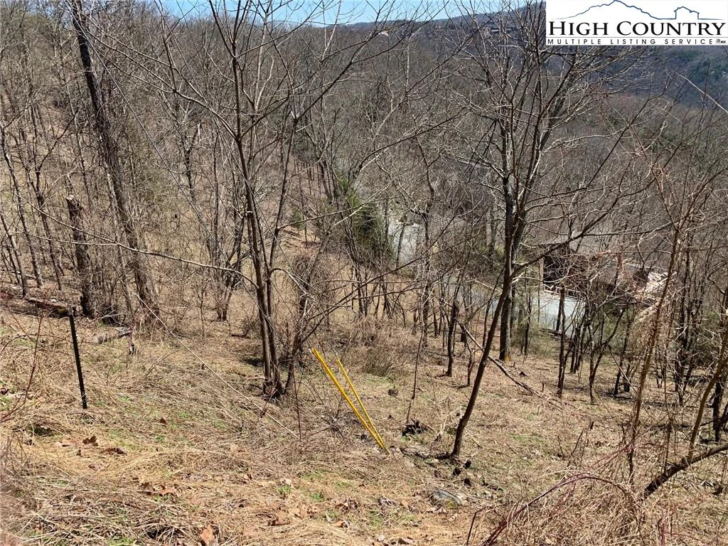 Image number 9 for the current listing