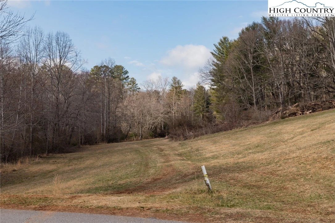 Image number 3 for the current listing