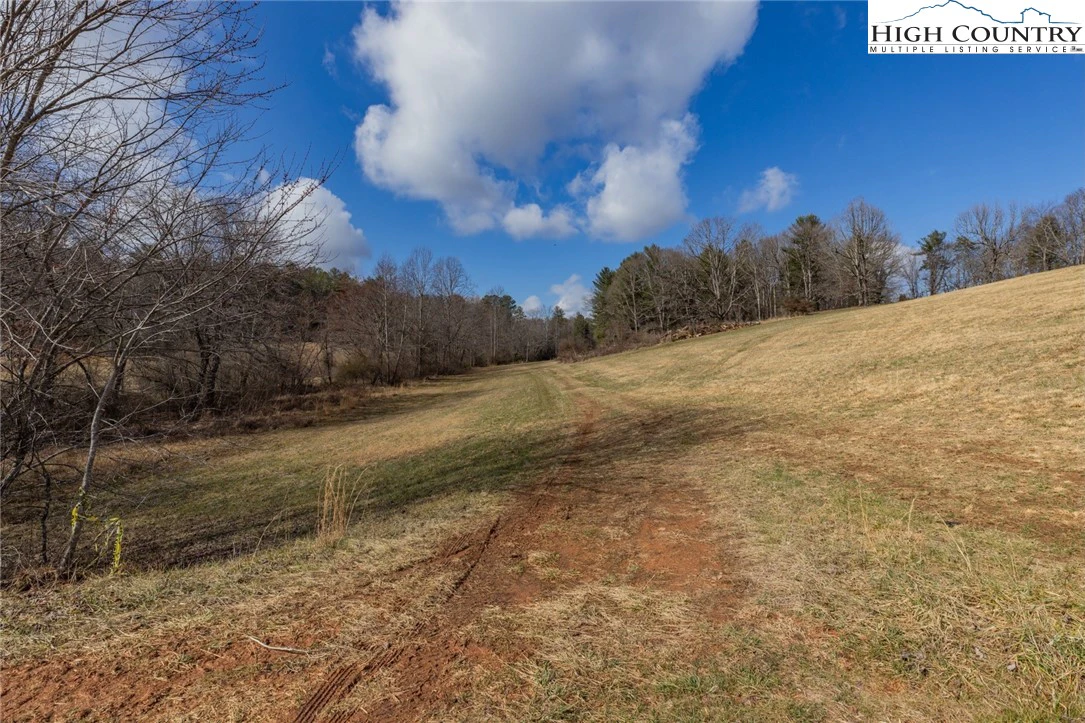 Image number 4 for the current listing