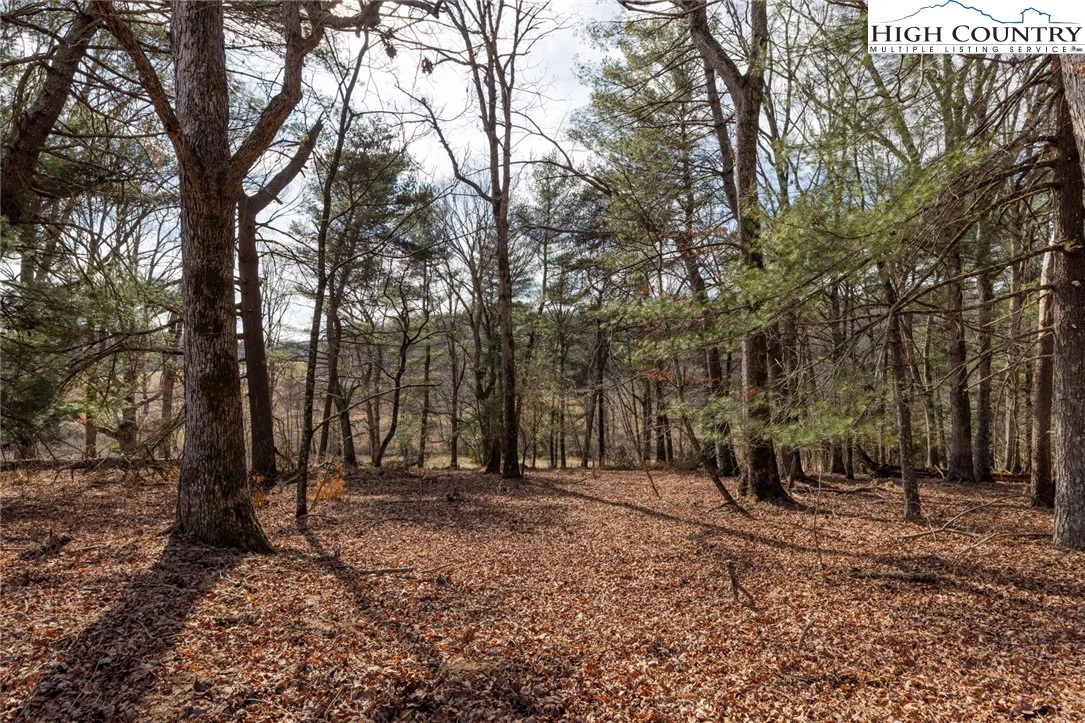 Image number 6 for the current listing