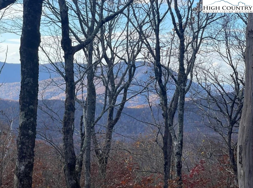 Image number 4 for the current listing