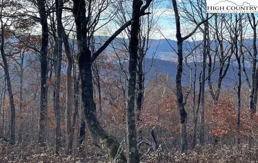 Image number 1 for the current listing