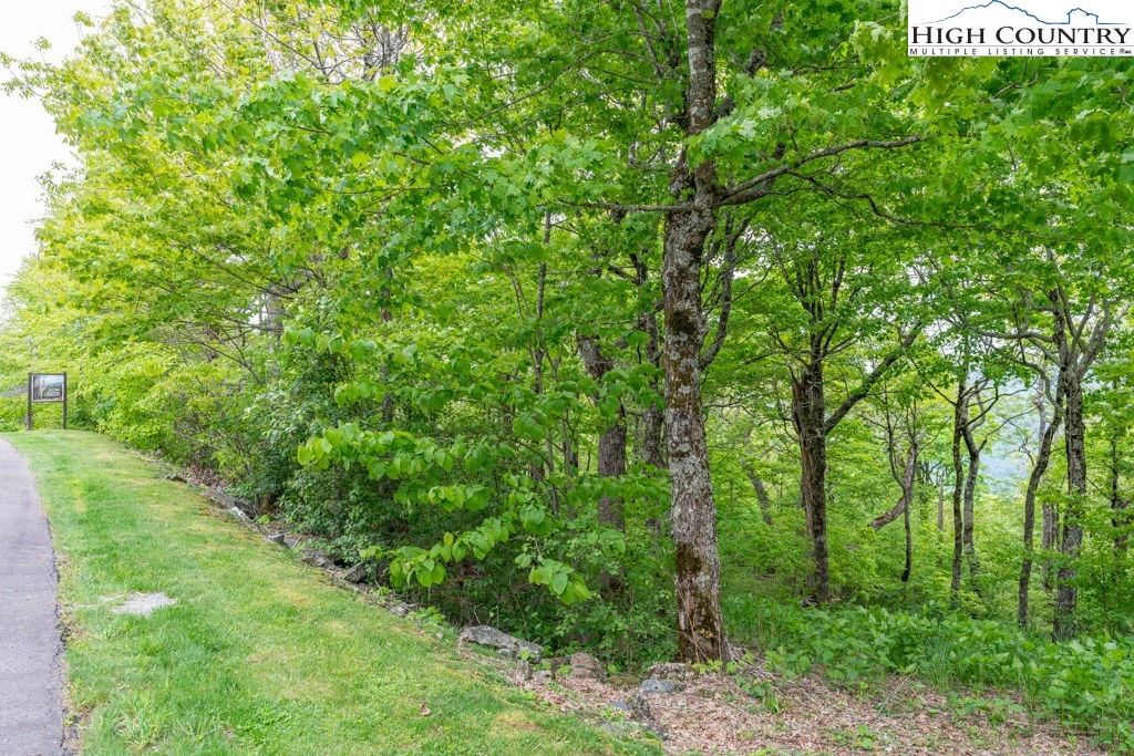 Image number 21 for the current listing