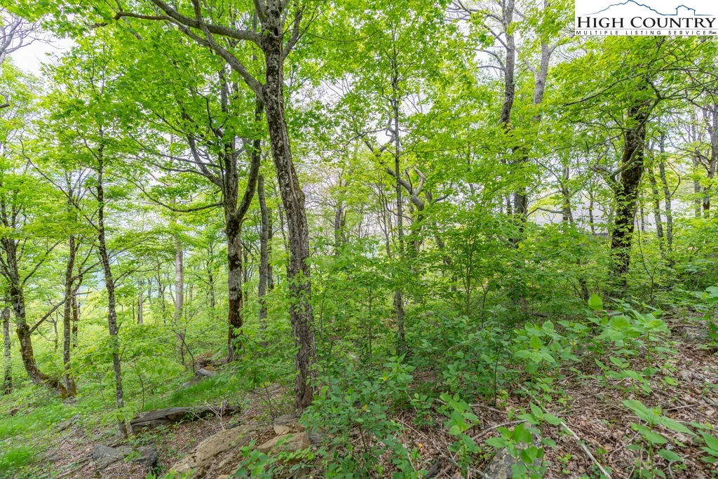 Image number 19 for the current listing