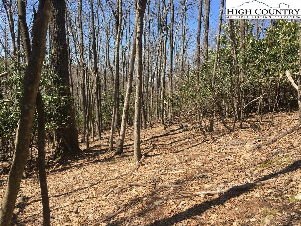 Image number 4 for the current listing