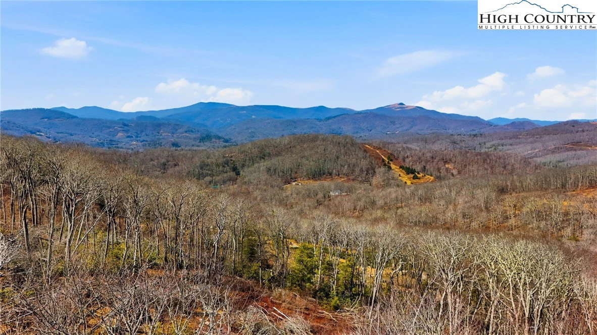Image number 1 for the current listing