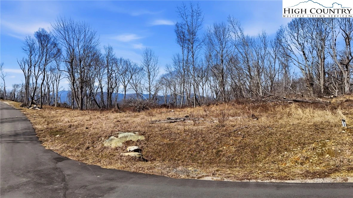 Image number 3 for the current listing