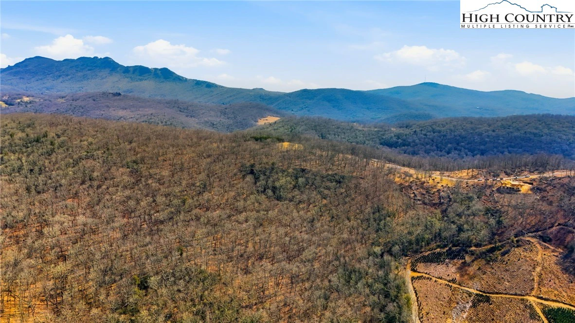 Image number 11 for the current listing